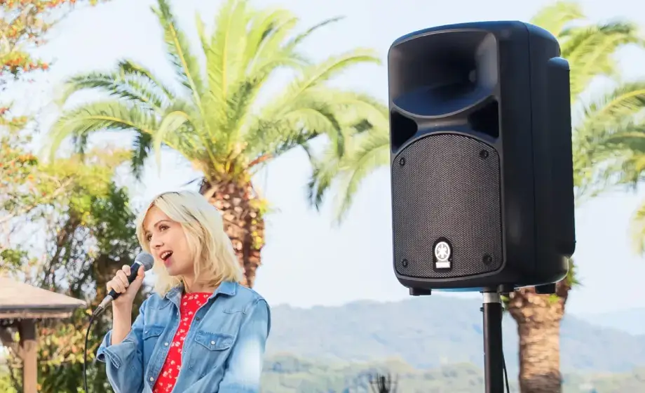 Vibegear Audio ตัวแทนจำหน่ายเครื่องเสียง ระบบเสียงและระบบภาพ