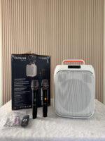 Aiwa Aw-X1800 ลำโพงบลูทูธ 120w 8 นิ้ว Party Speaker มาพร้อมไมค์ และไฟ Led