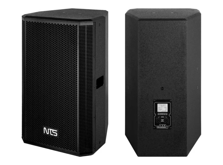 Nts Ne-15 ตู้ลำโพง 2 ทาง 15 นิ้ว 500 วัตต์