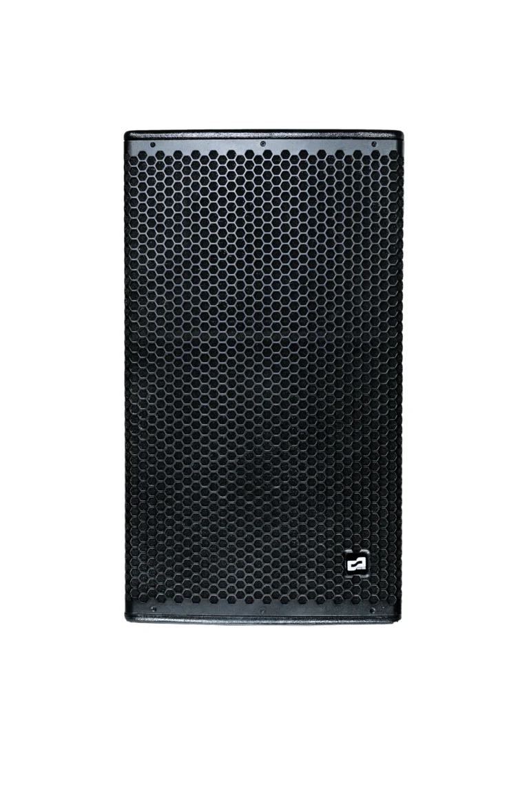 Sound Work Alpha P1 ลำโพงพ้อยท์ซอร์ส 2000 วัตต์ Passive 2 ทาง