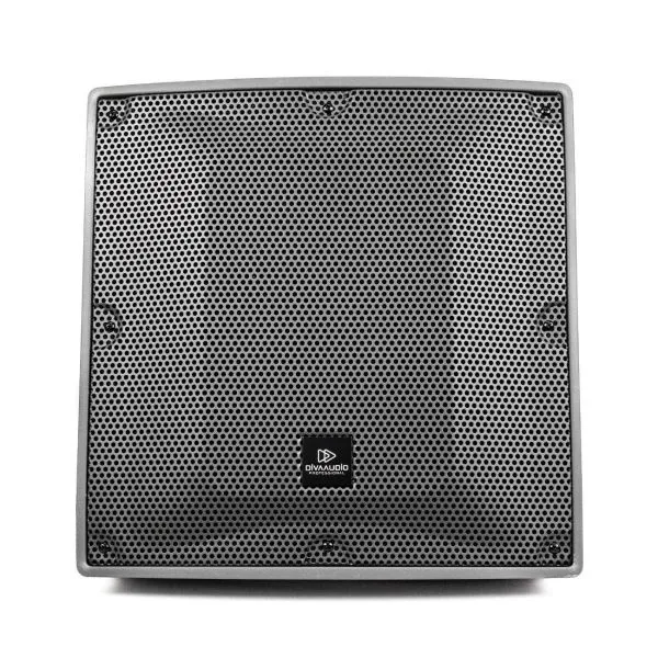 Divaaudio Dl212t ลำโพงติดผนังกันน้ำ 2 ทาง ขนาด 12 นิ้ว 300 วัตต์ Ip56 รองรับ 100v Line