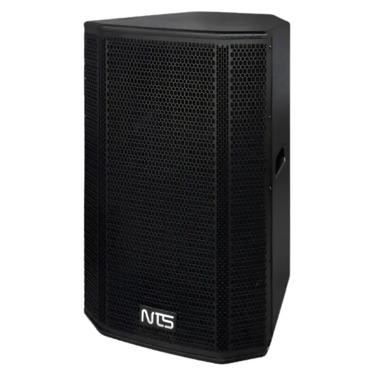 Nts Ns-15 ตู้ลำโพง 2 ทาง 15 นิ้ว กำลังขับ 400w (15" 2-Way Passive Loudspeaker)