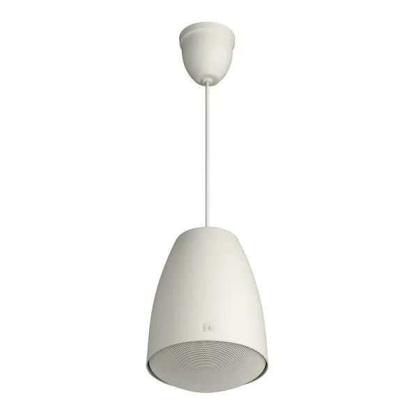 Toa Pe-304 Pendant Speaker 30w ลำโพงแขวนเพดาน 2 ทาง