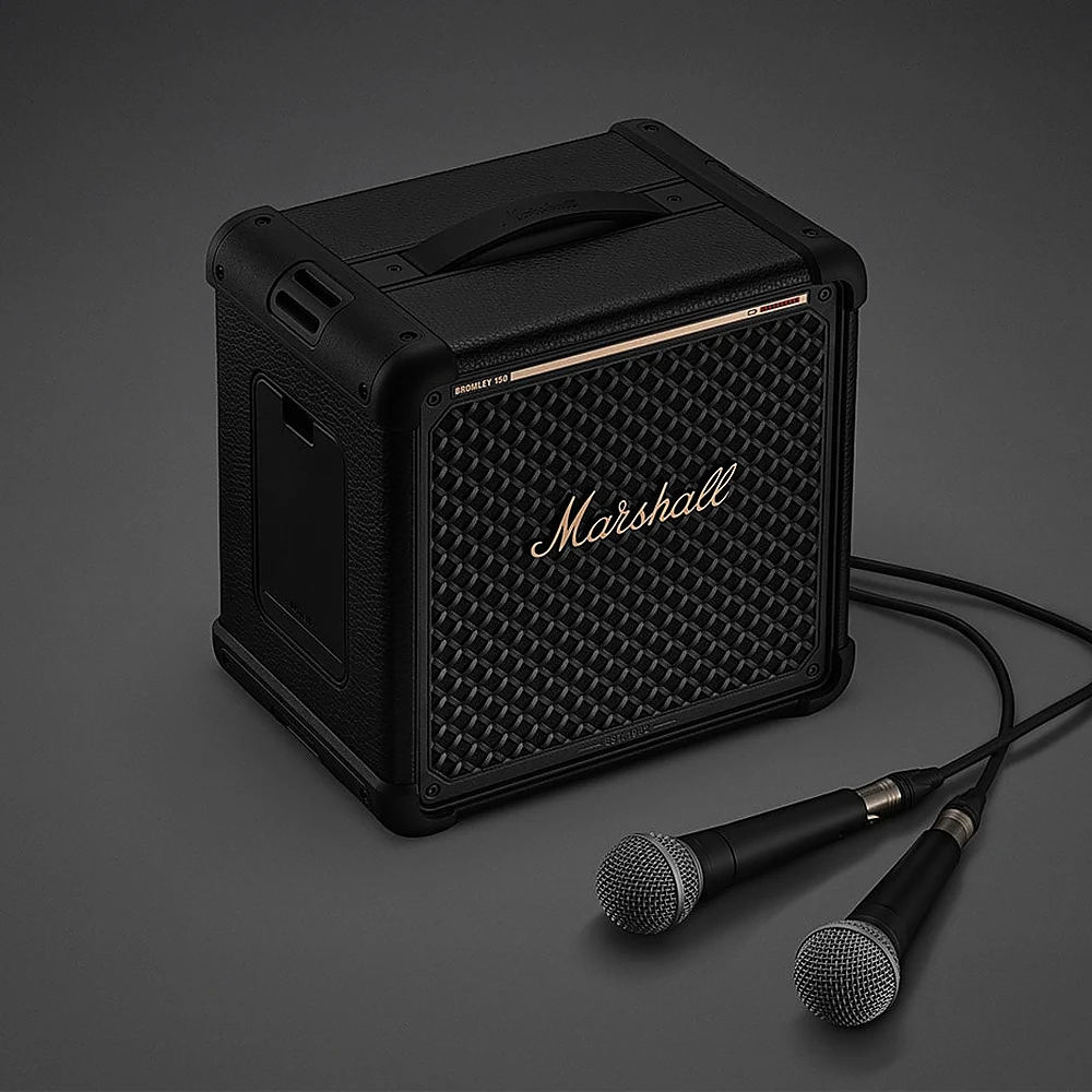 การจัดชุดร้องเพลงและแสดงสดด้วย Marshall Bromley 150 พร้อมไมโครโฟนคู่